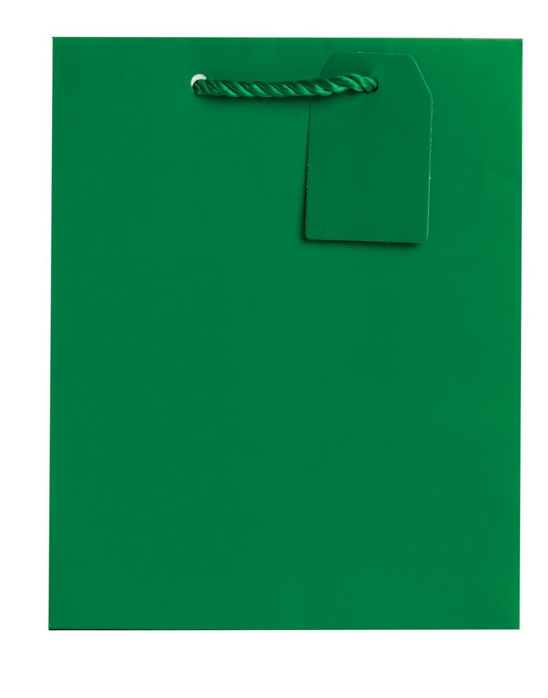 Jillson Roberts 6-Count Medium 8" x 10" x 4" All-Occasion Gift Bags Available in 20 Solid Colors, Green Matte - Image 1